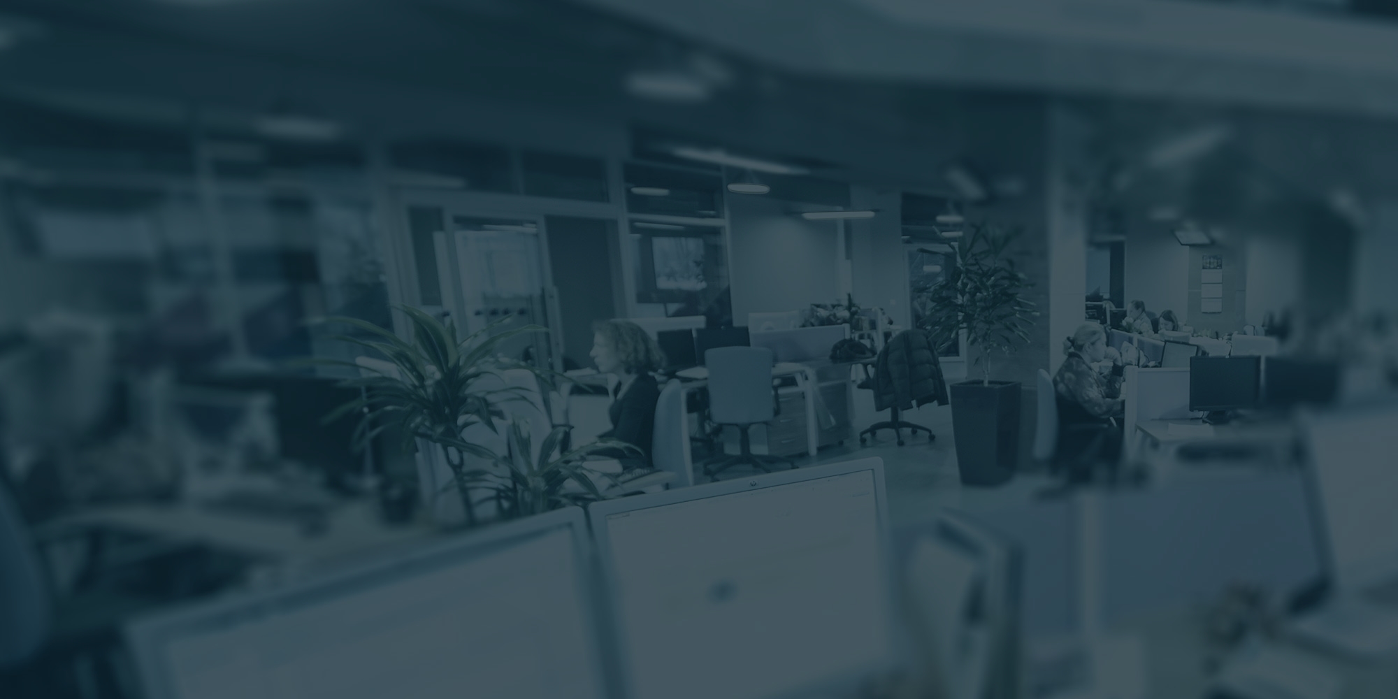 Equipe Terceirize Brasil