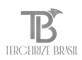 Terceirize Brasil Logo